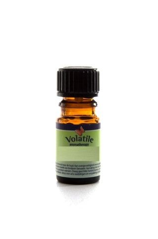 Volatile Cara Olie 10 ml