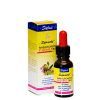 Sixtus Sixtuwohl nagelbeschermings tinctuur 20 ml