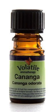 Volatile Engelwortel - Angelica Archangelica 2,5 ml