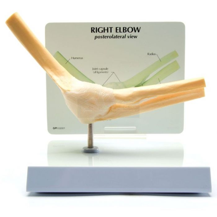 Ellebooggewricht met info kaart 