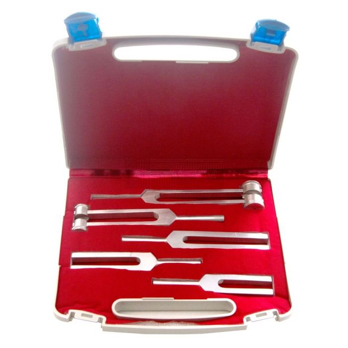 Stemvorkset in koffer Deluxe à 5 stuks