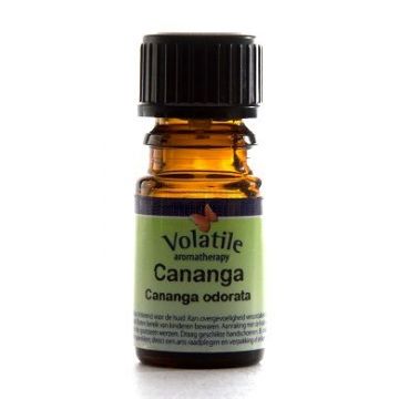 Volatile Engelwortel - Angelica Archangelica 2,5 ml