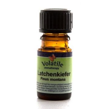 Volatile Latchenkiefer - Pinus Montana/Strong 10 ml