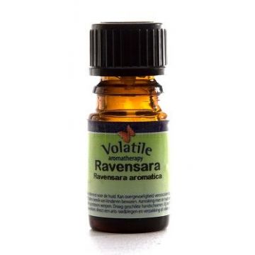 Volatile Ravensara - Ravensara Aromatica 10 ml