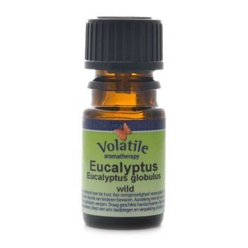 Volatile Eucalyptus Wild - Eucalyptus Globulus 10 ml
