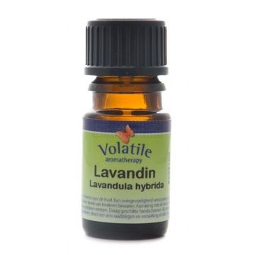 Volatile Lavandin - Lavandula Super 10 ml