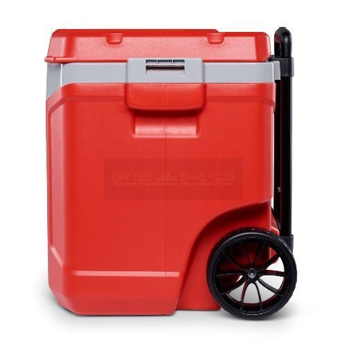 knoop Onze onderneming wij Igloo koelbox Latitude 60 roller / 57 liter rood bestellen FRAMO.nl