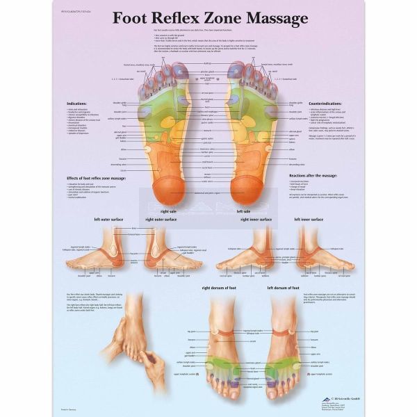 Anatomie poster voetreflexzone massage